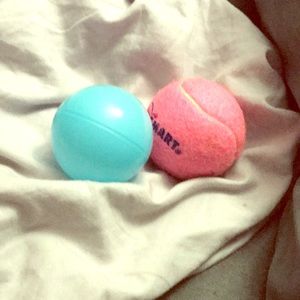 Kid bar in dog Valley